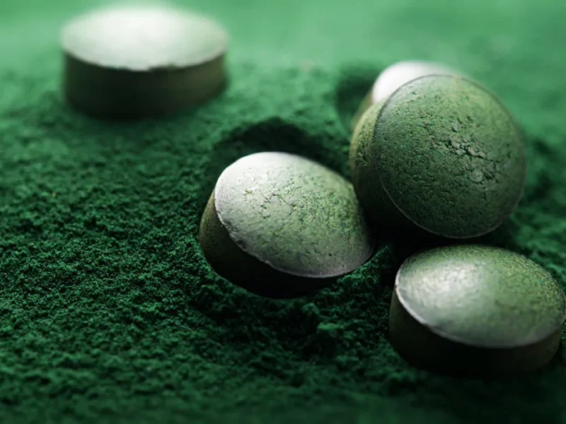 L’importance du lieu et mode de culture de la Spiruline